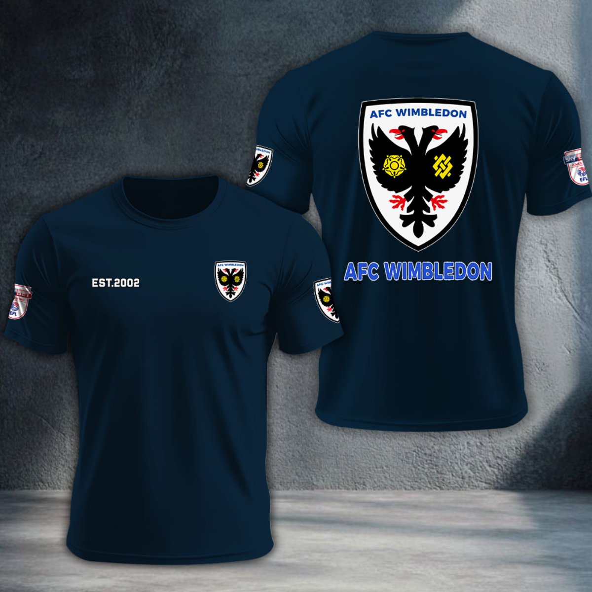 AFC Wimbledon DTNTA10261
