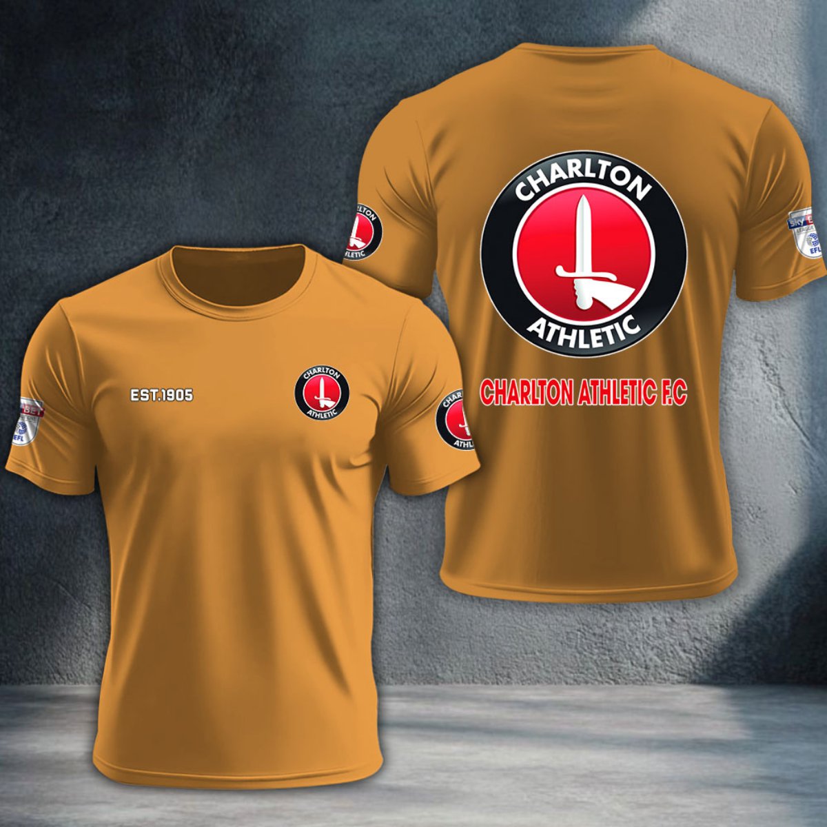 Charlton Athletic DTNTA10243