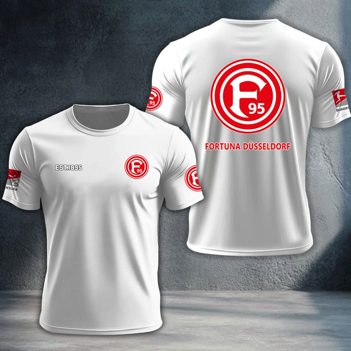 Fortuna Dusseldorf DTNTA10310
