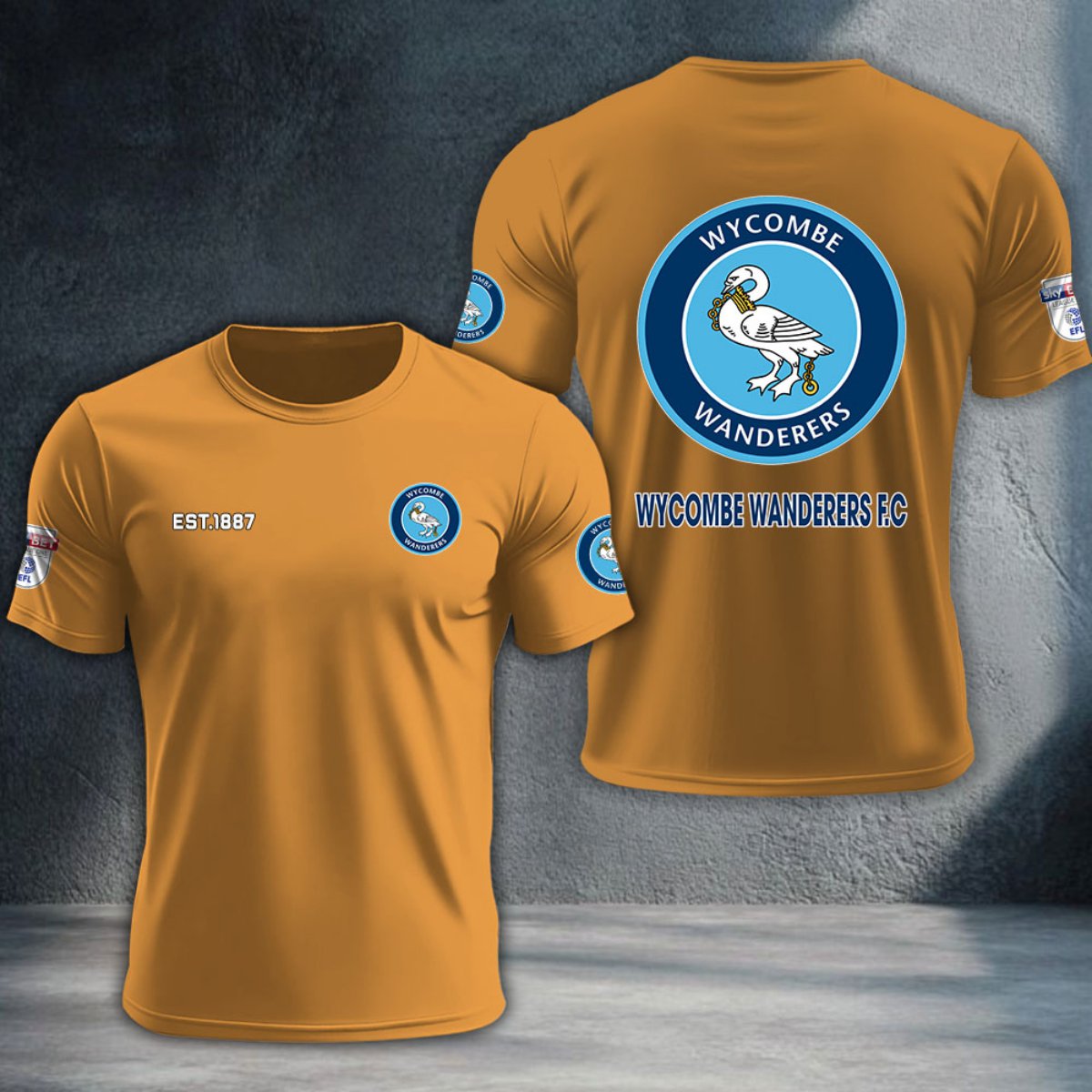 Wycombe Wanderers DTNTA10259