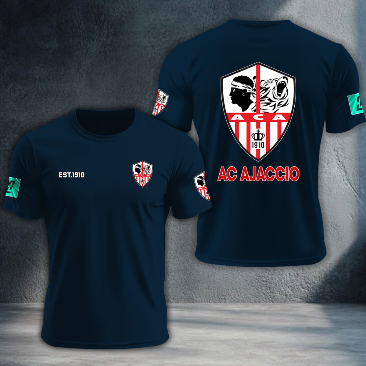AC Ajaccio DTNTA10342
