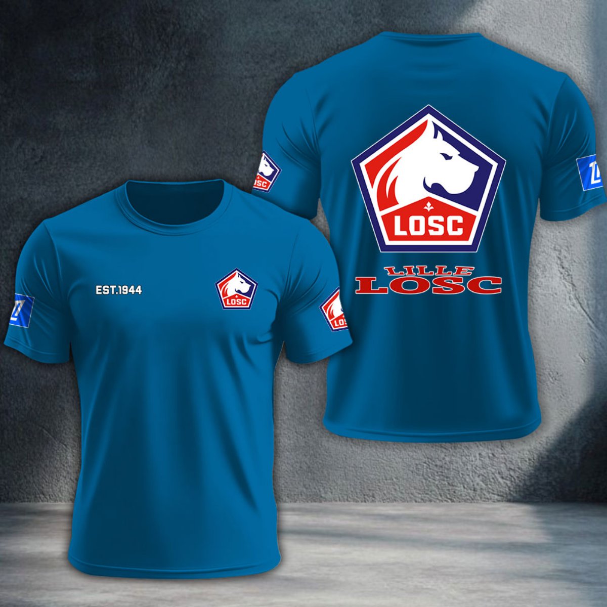 LOSC Lille DTNTA10350