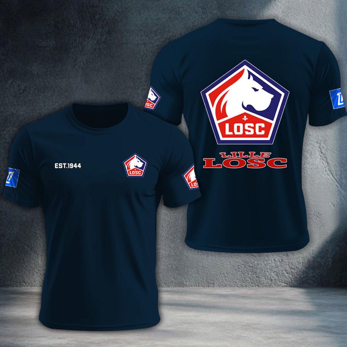 LOSC Lille DTNTA10350