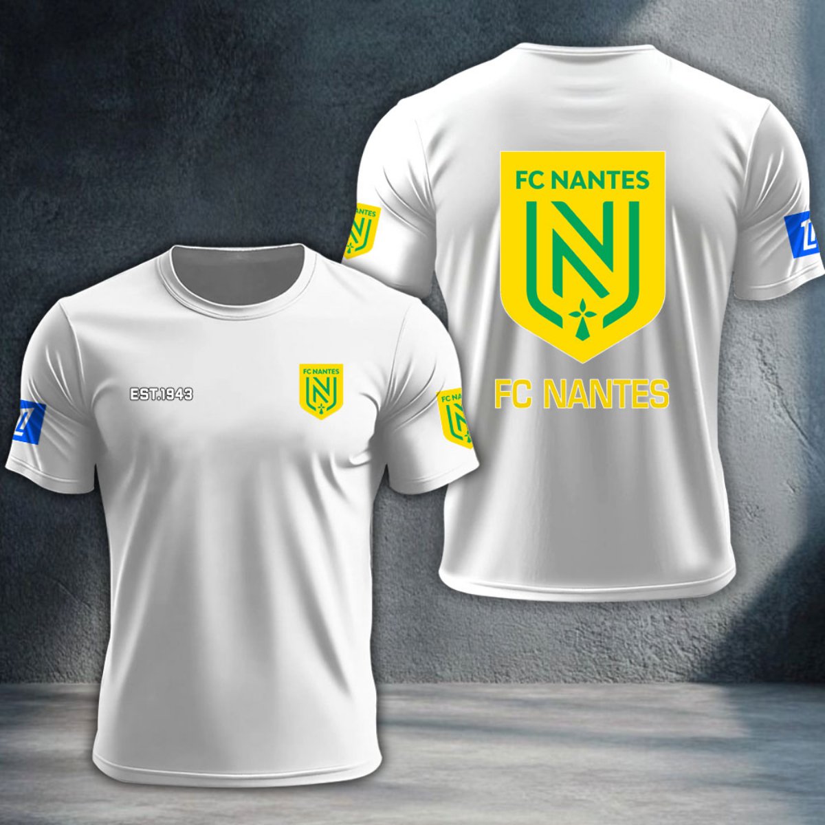 FC Nantes DTNTA10349