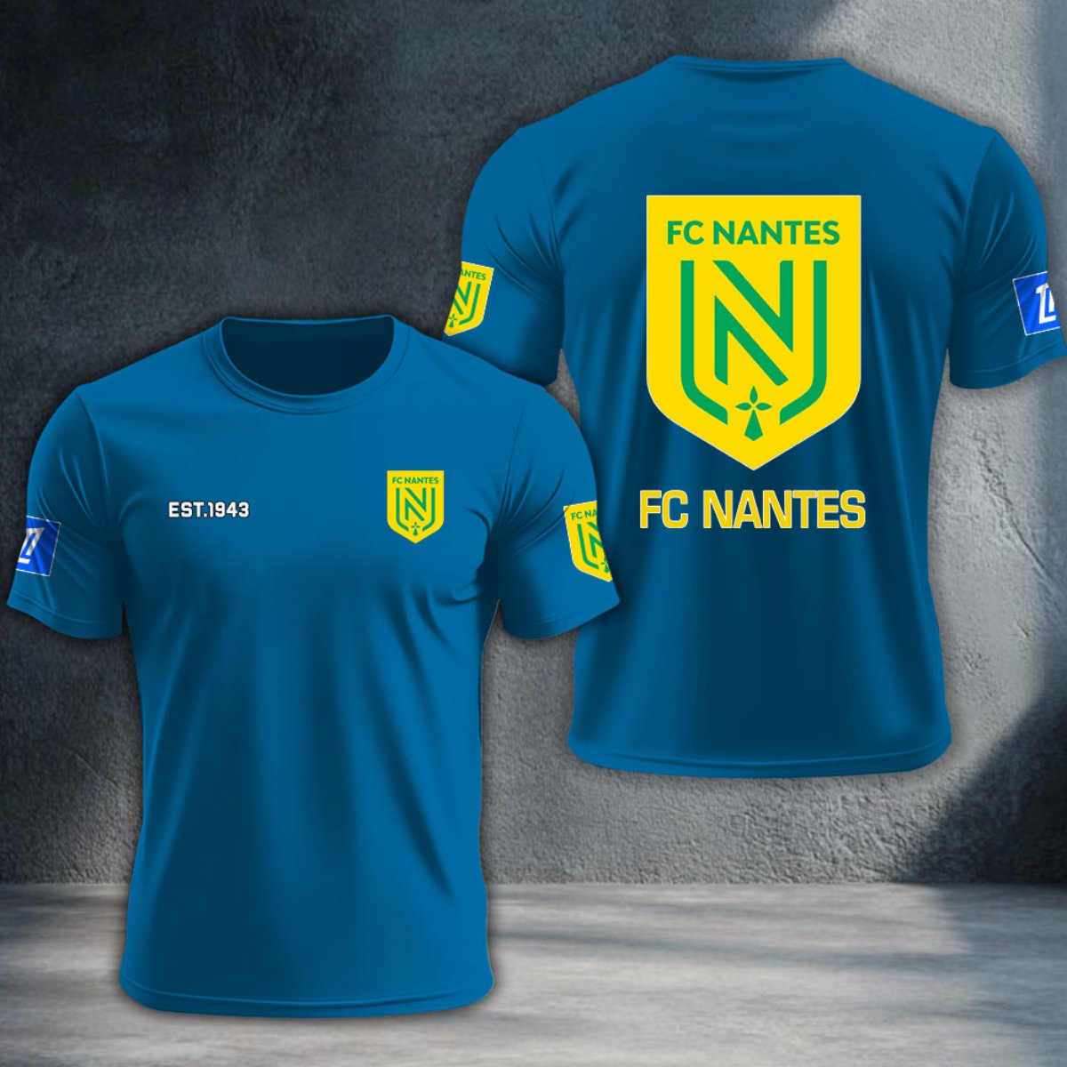 FC Nantes DTNTA10349