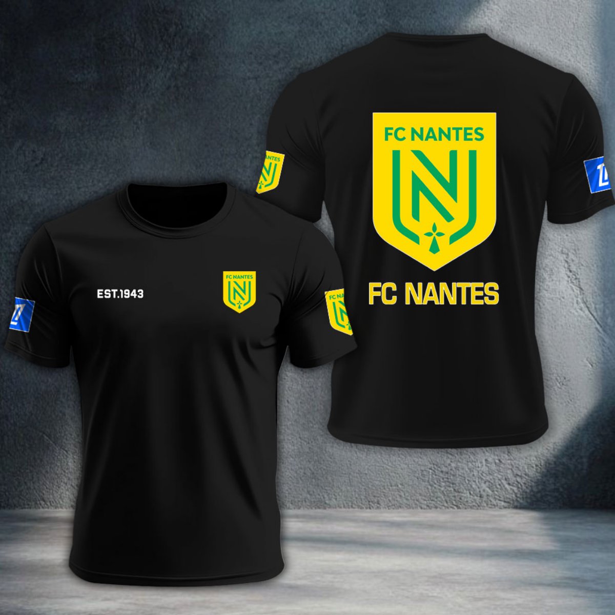 FC Nantes DTNTA10349
