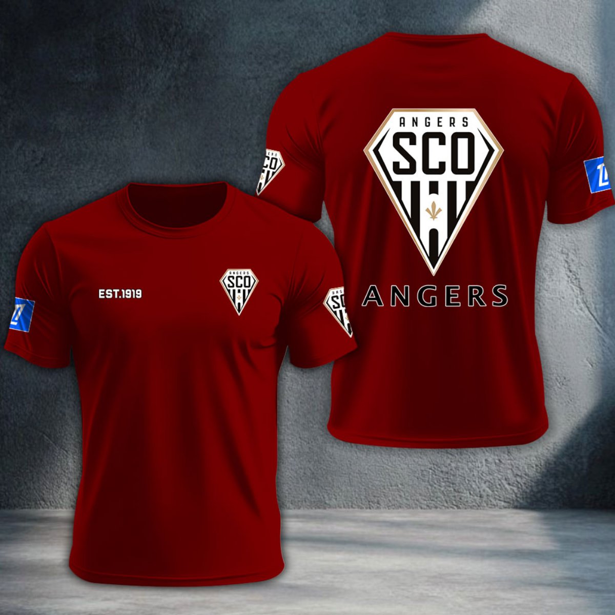 Angers SCO DTNTA10344