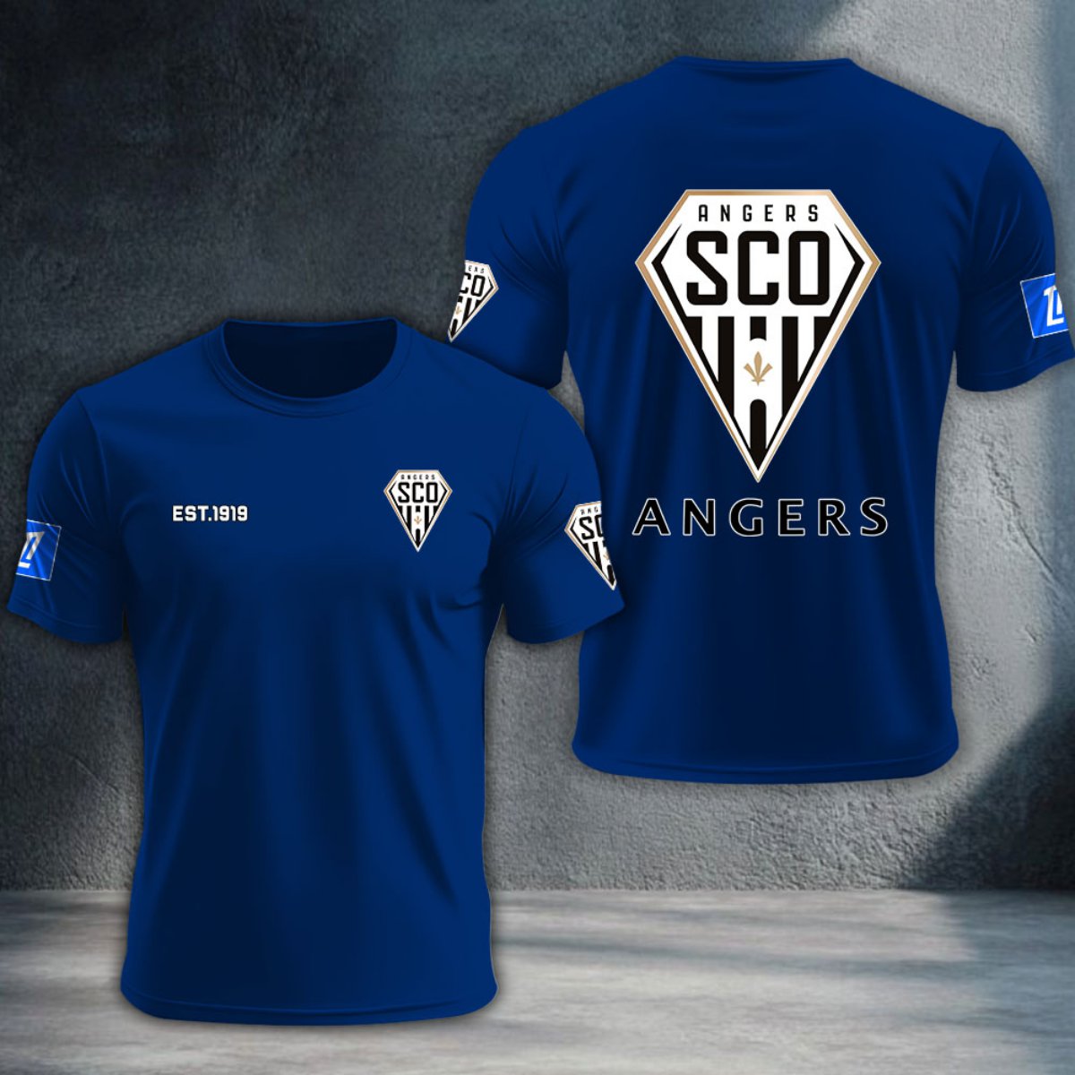 Angers SCO DTNTA10344