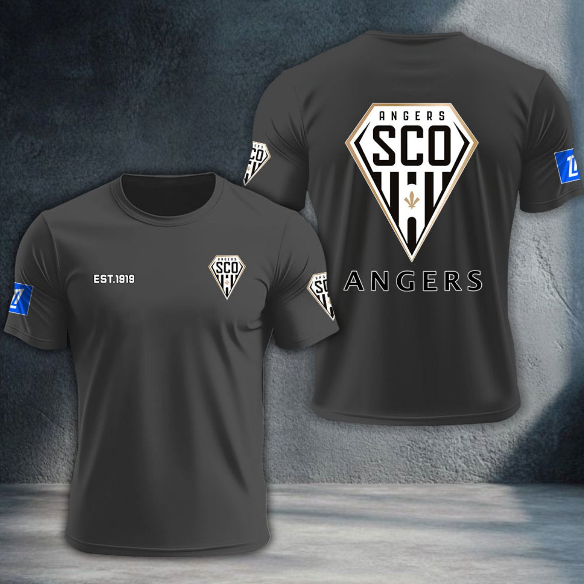 Angers SCO DTNTA10344