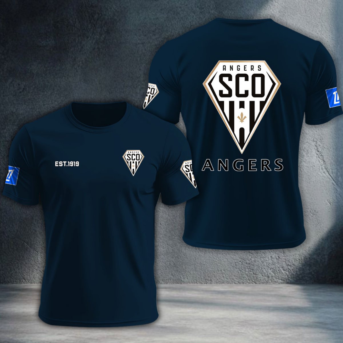 Angers SCO DTNTA10344