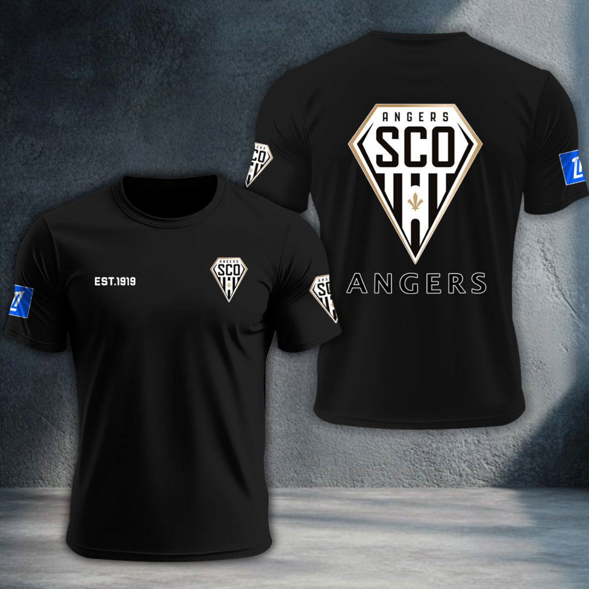 Angers SCO DTNTA10344