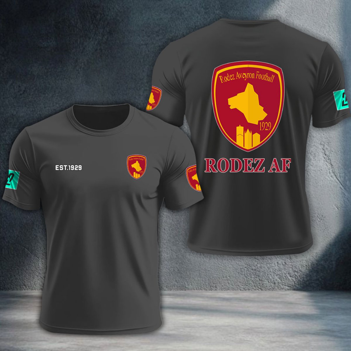 Rodez Aveyron Football DTNTA10376