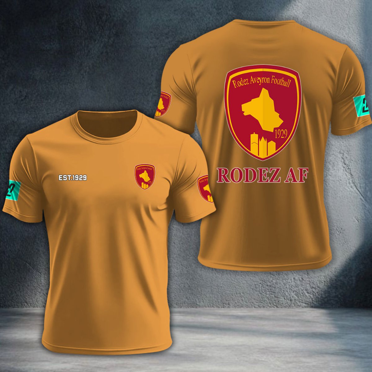 Rodez Aveyron Football DTNTA10376