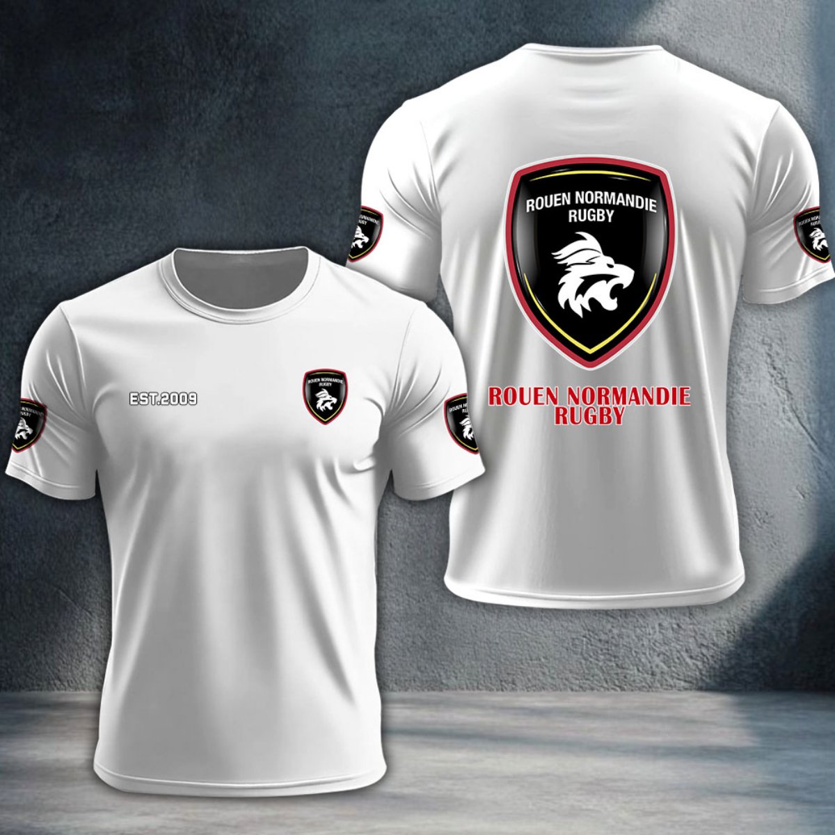 Rouen Normandie Rugby DTNTA10403