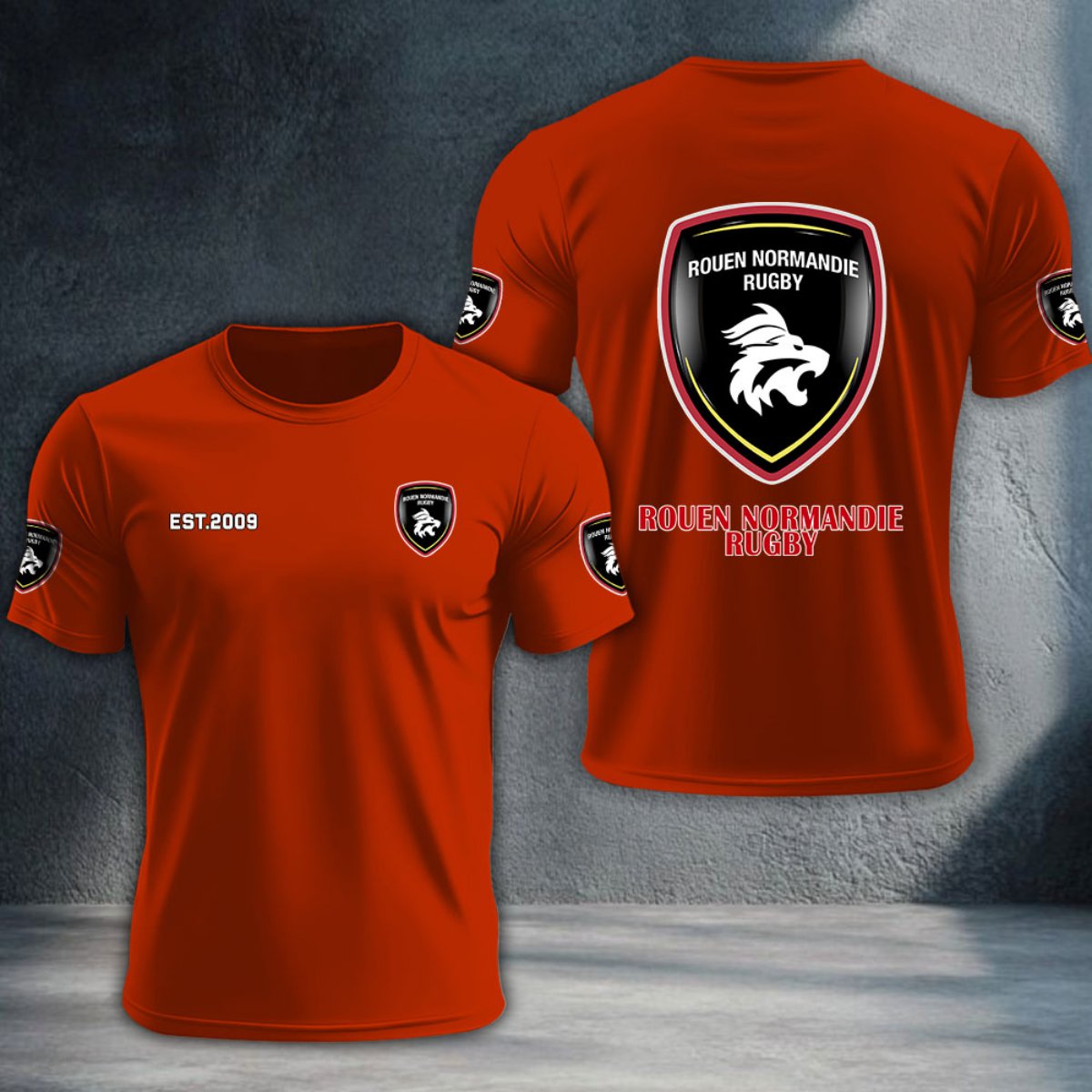 Rouen Normandie Rugby DTNTA10403