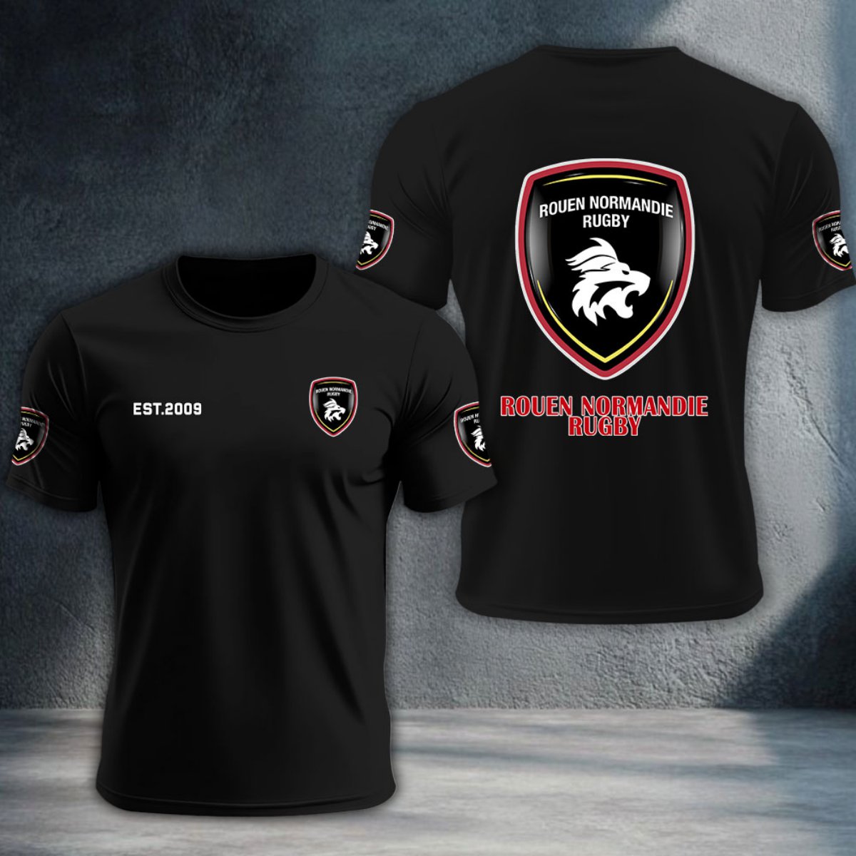 Rouen Normandie Rugby DTNTA10403