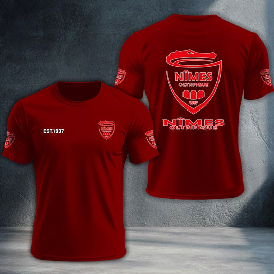 Nimes Olympique DTNTA10373