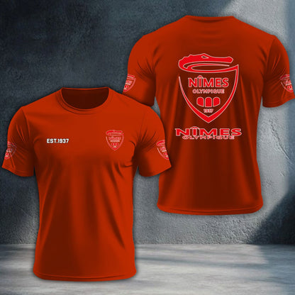 Nimes Olympique DTNTA10373