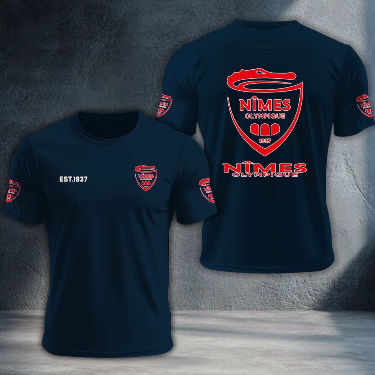 Nimes Olympique DTNTA10373