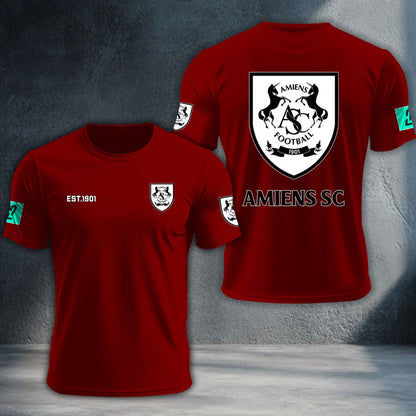 Amiens SC DTNTA10362