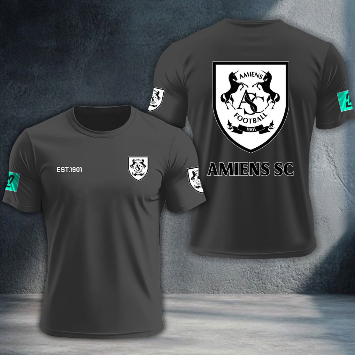 Amiens SC DTNTA10362