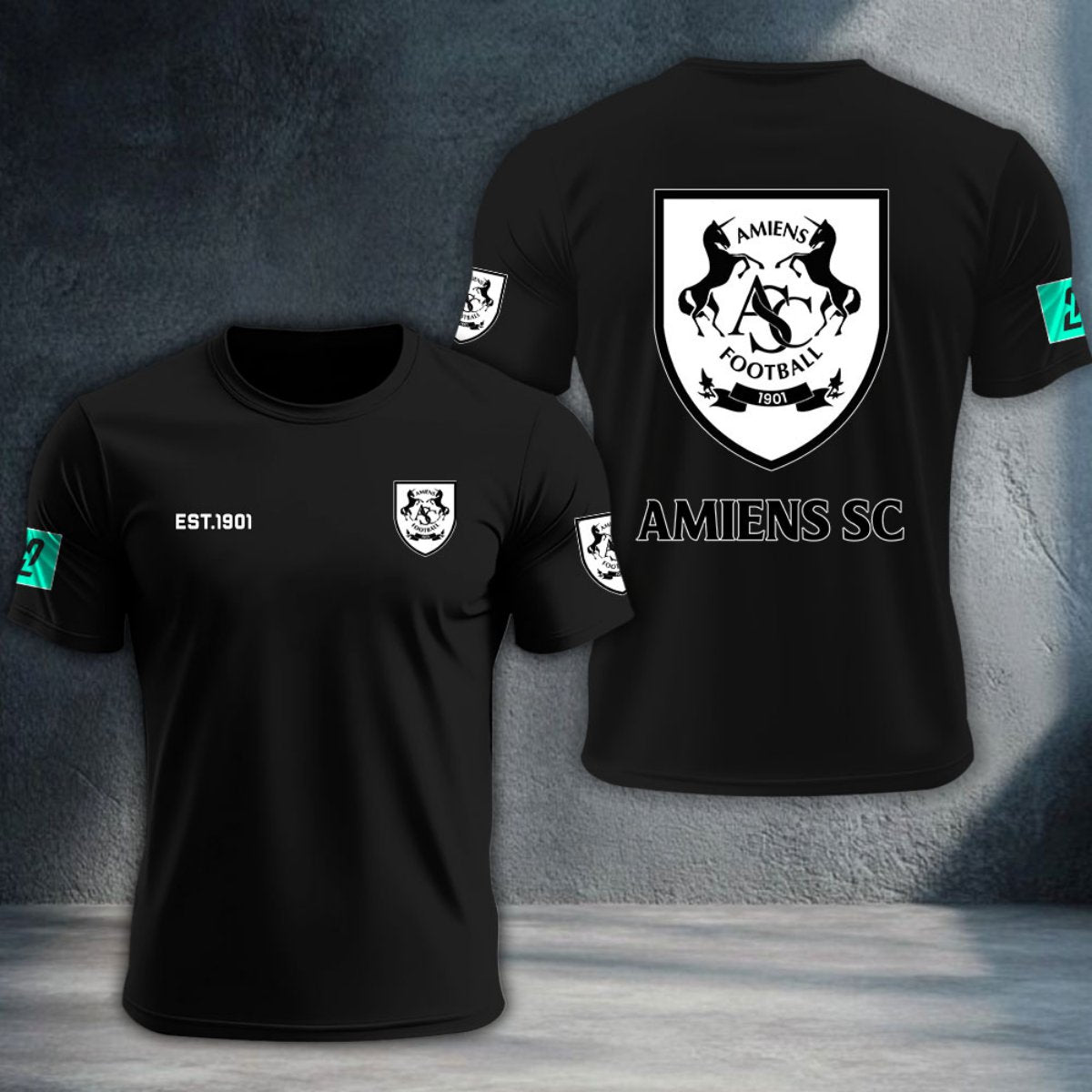 Amiens SC DTNTA10362