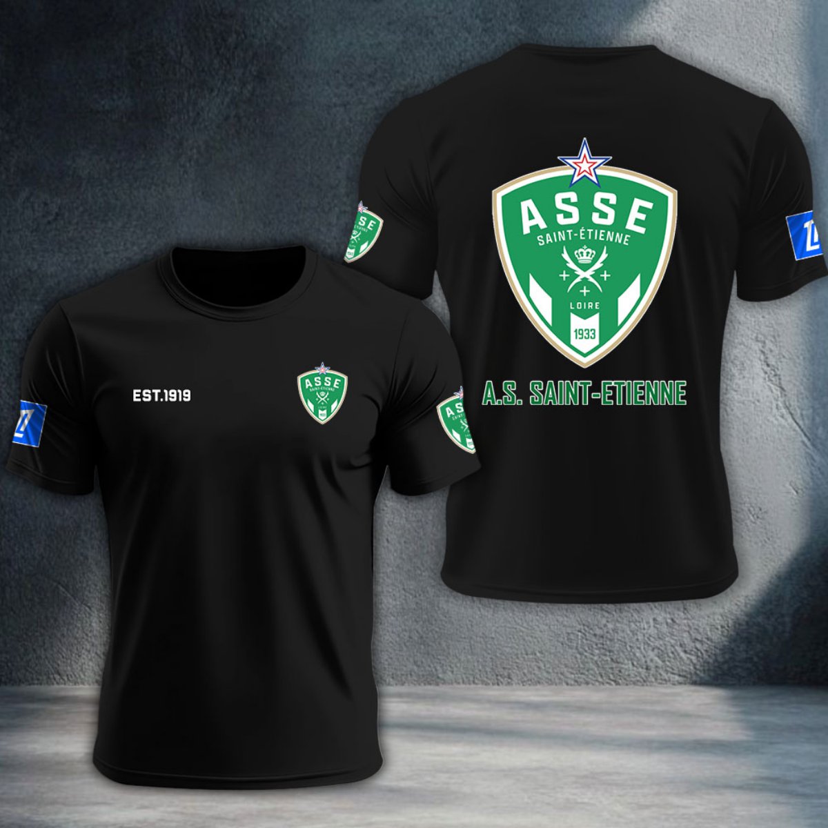 AS Saint-Etienne DTNTA10363