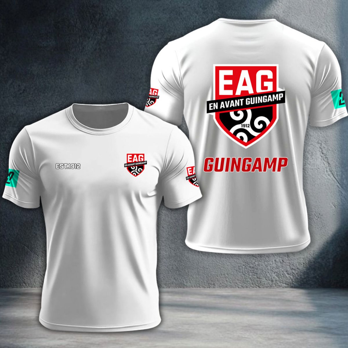 En Avant Guingamp DTNTA10366