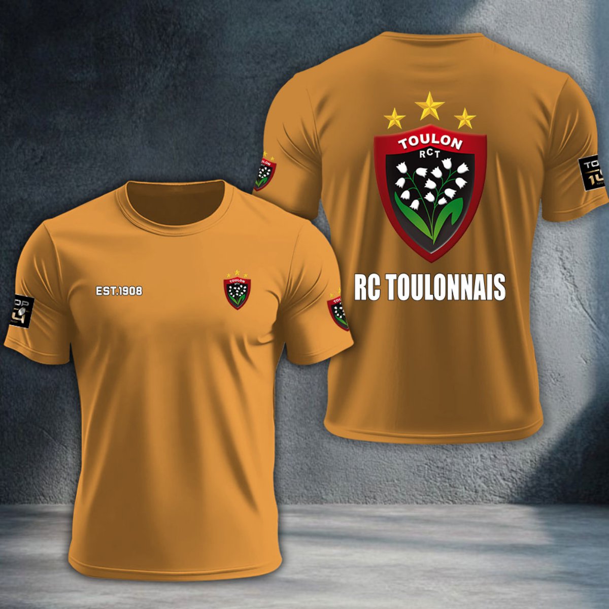 RC Toulonnais DTNTA10389