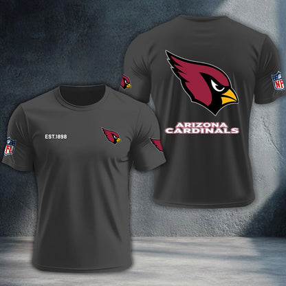 Arizona Cardinals DTNTA10435