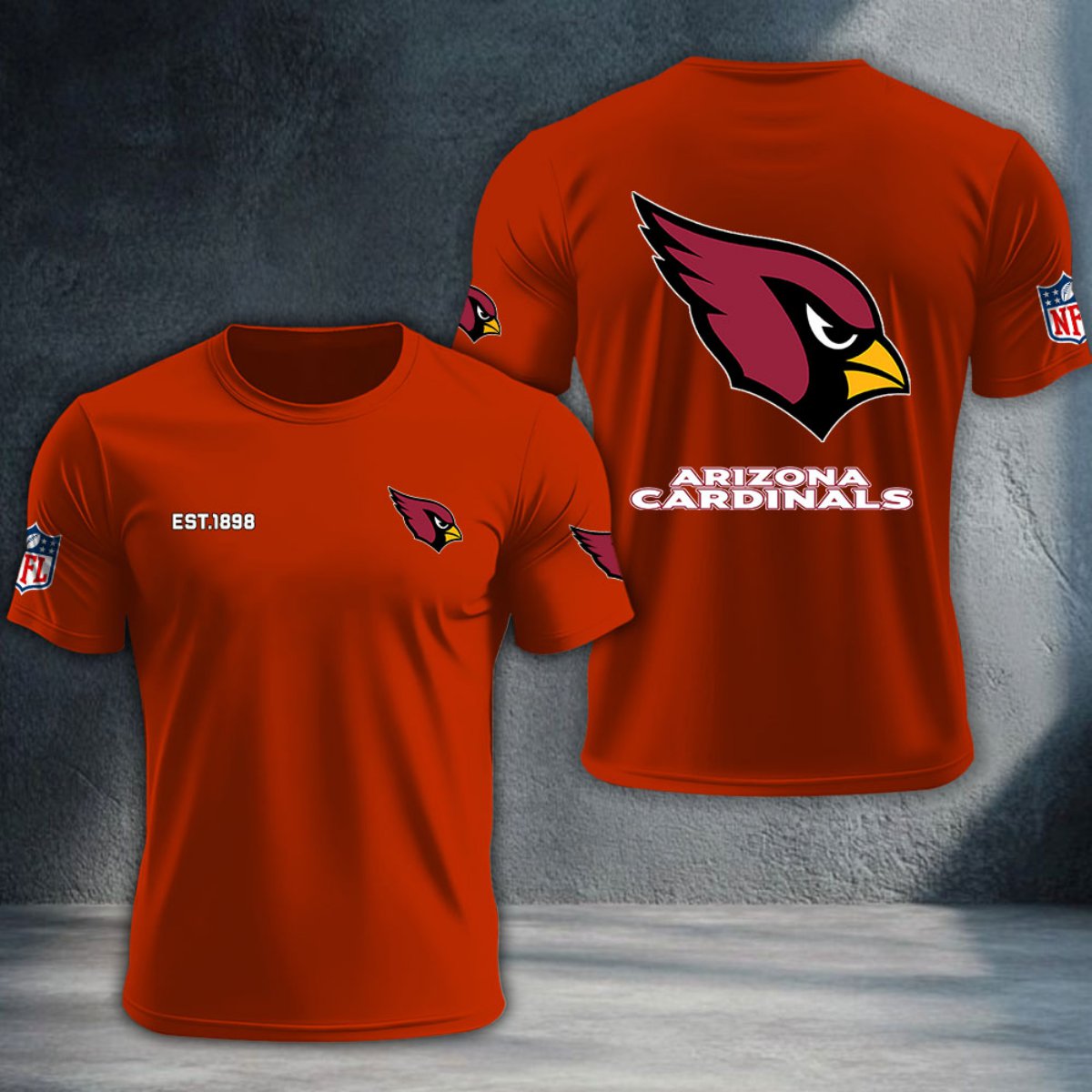 Arizona Cardinals DTNTA10435