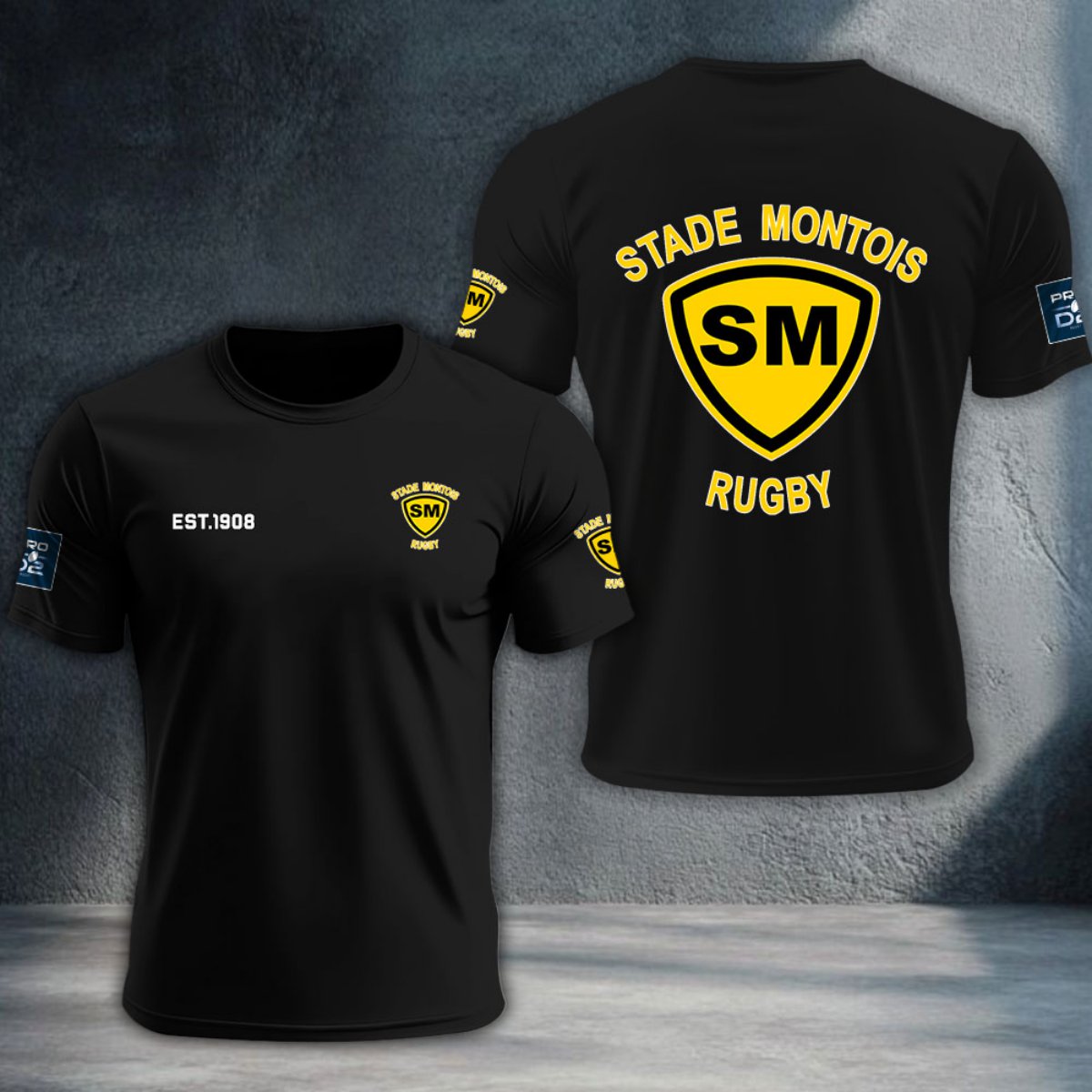 Stade Montois Rugby DTNTA10408