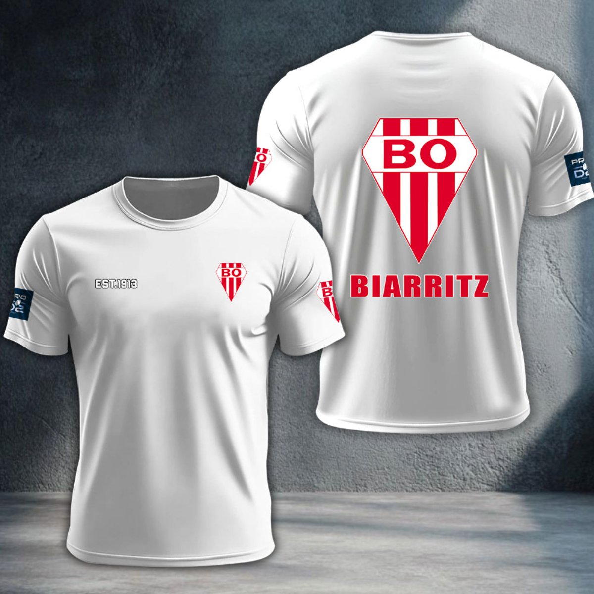 Biarritz Olympique DTNTA10397