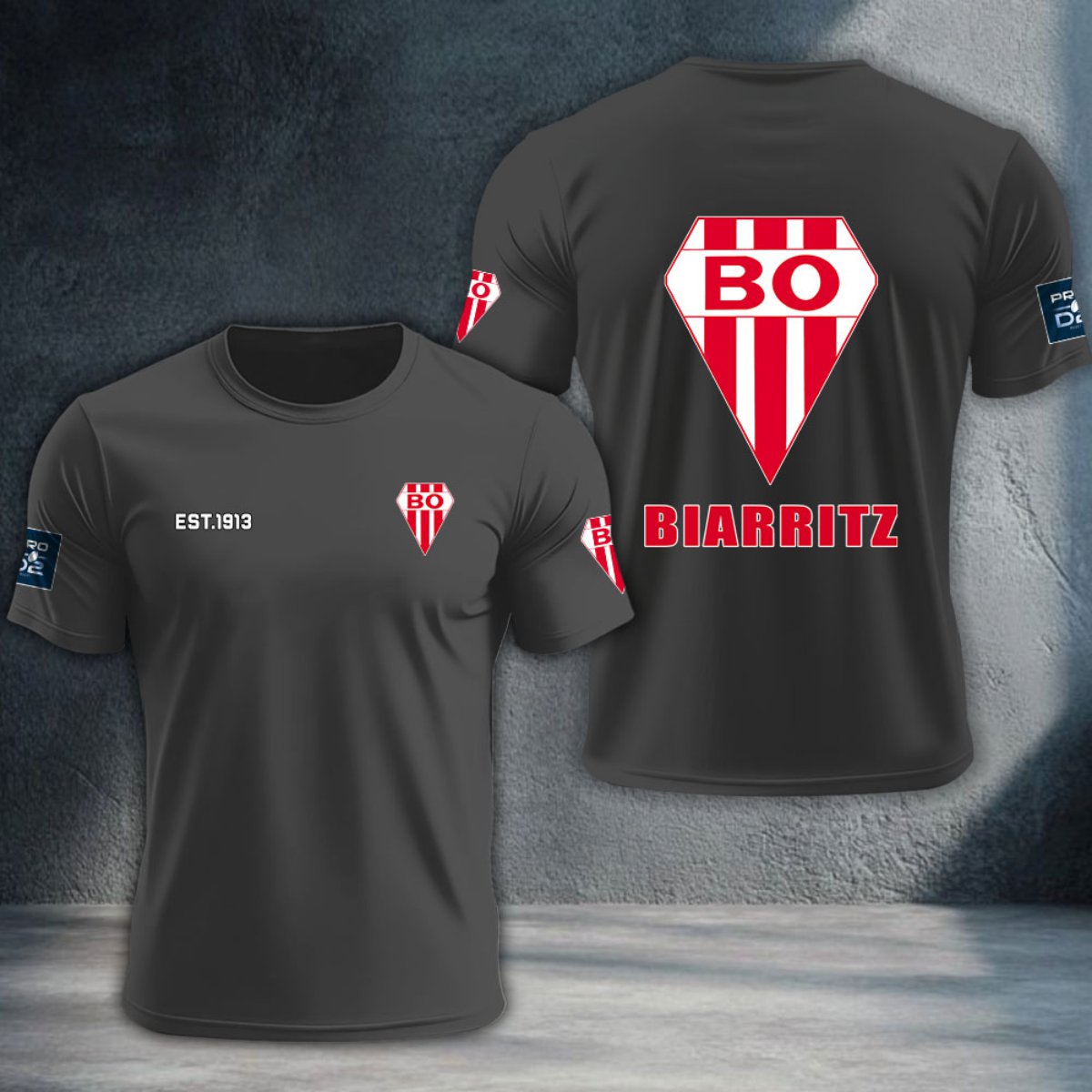 Biarritz Olympique DTNTA10397