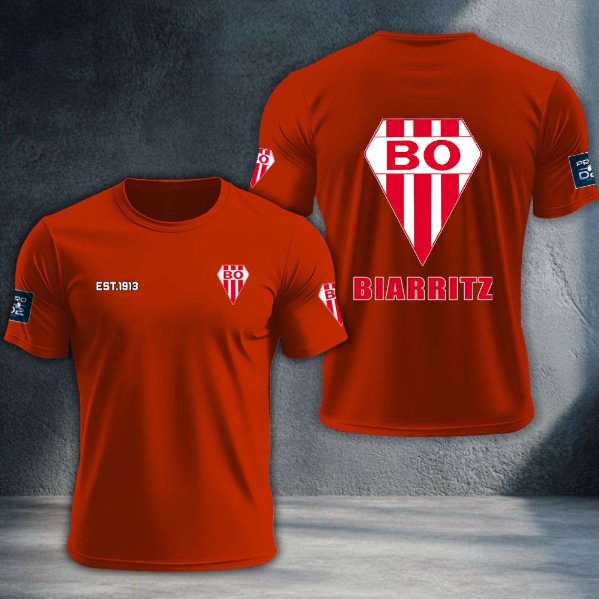 Biarritz Olympique DTNTA10397