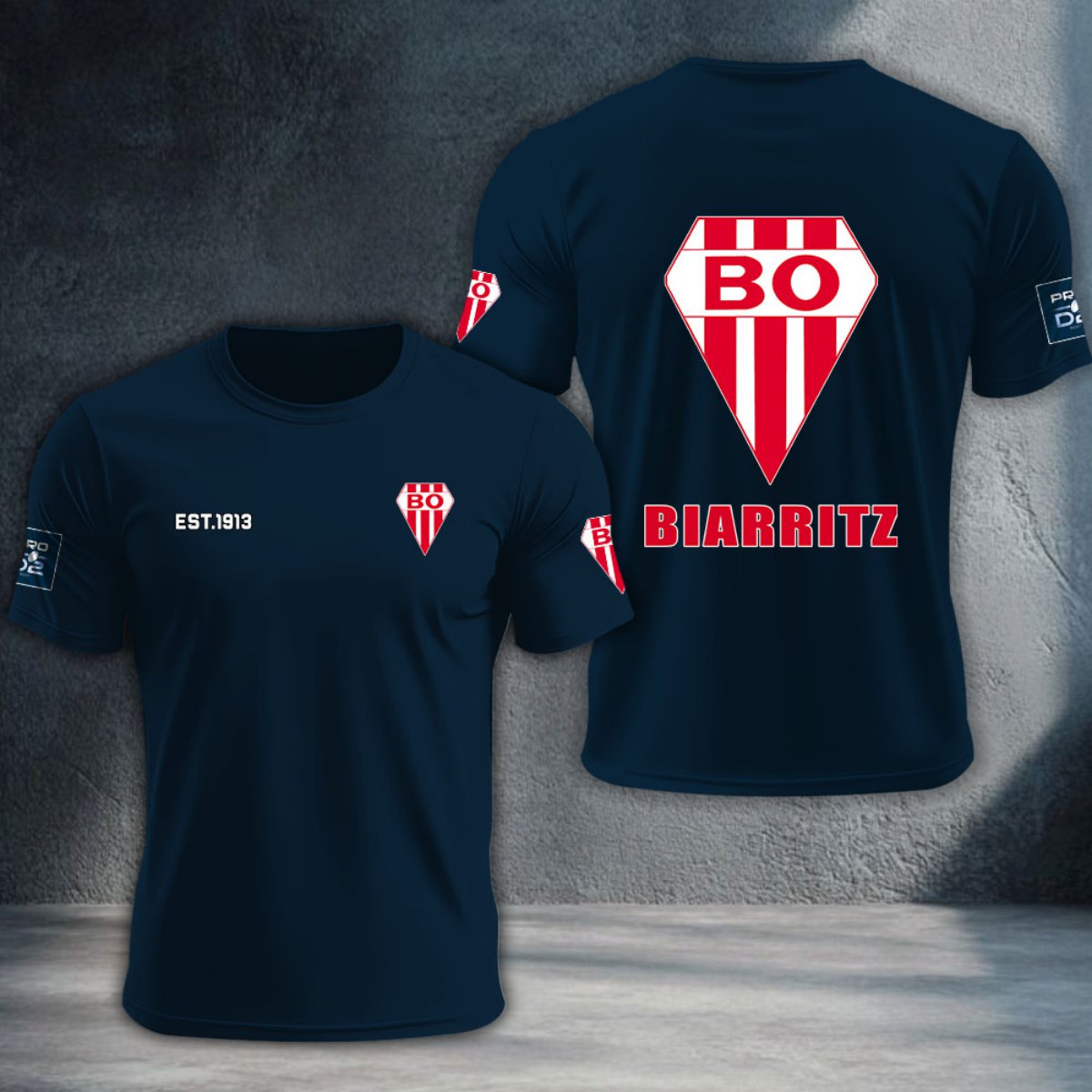Biarritz Olympique DTNTA10397
