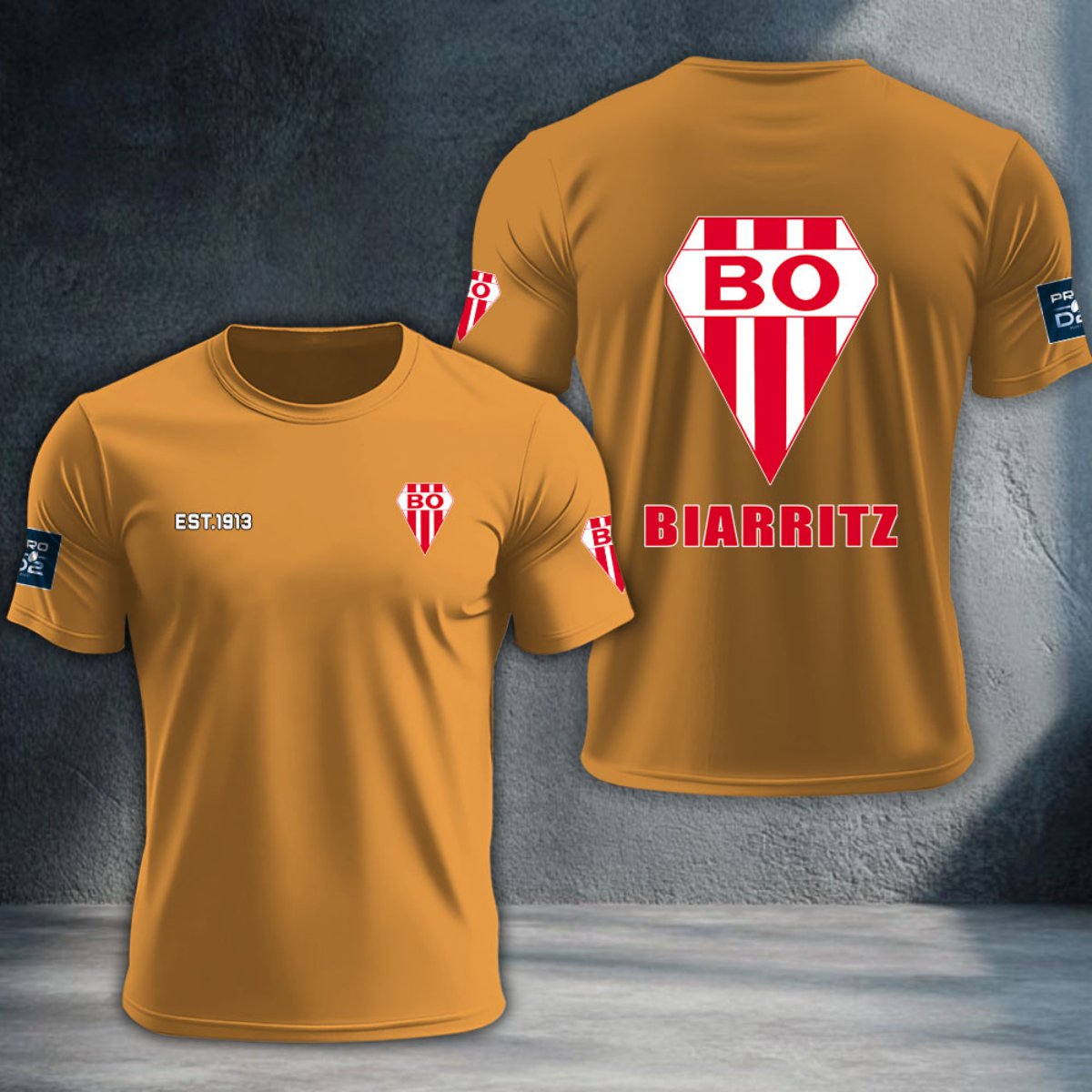 Biarritz Olympique DTNTA10397