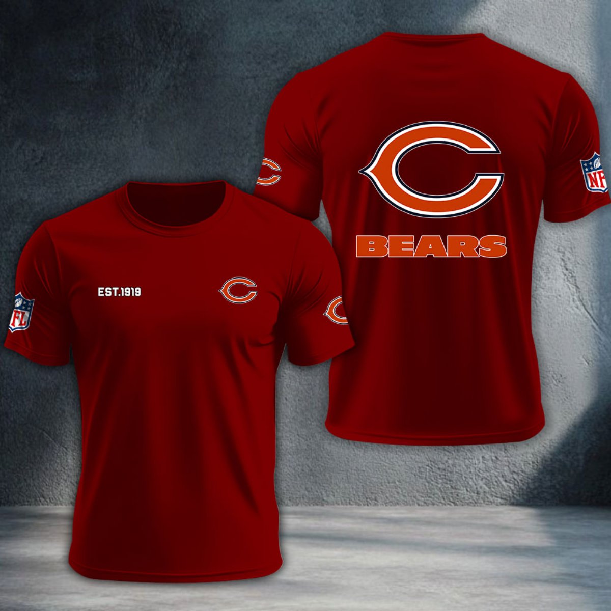 Chicago Bears DTNTA10440