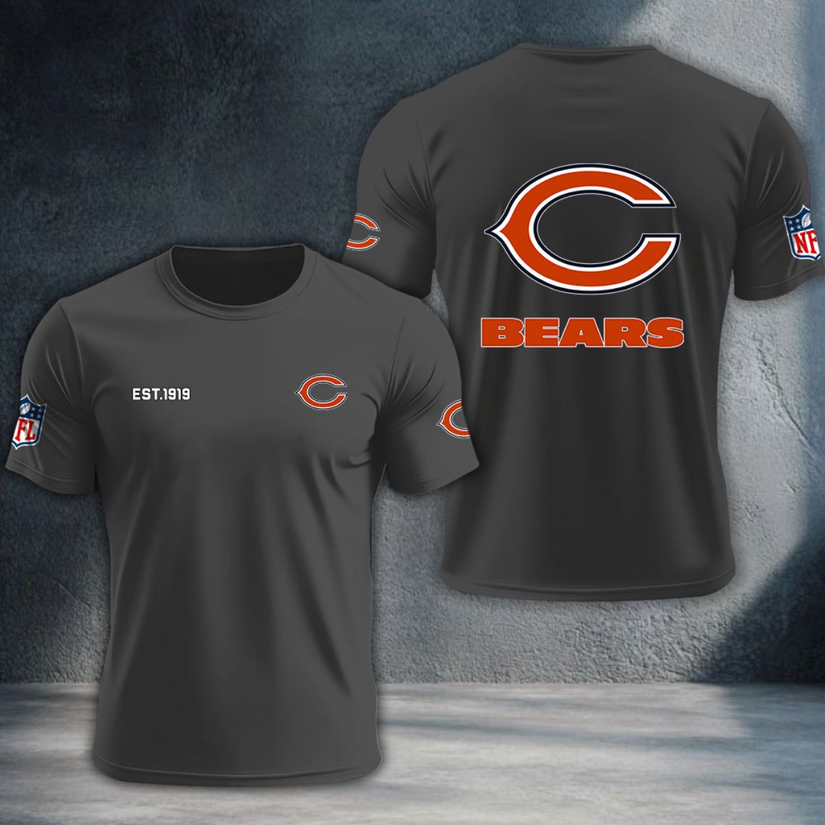 Chicago Bears DTNTA10440