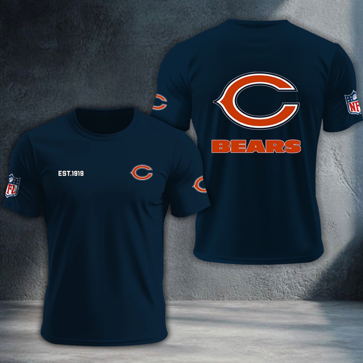 Chicago Bears DTNTA10440