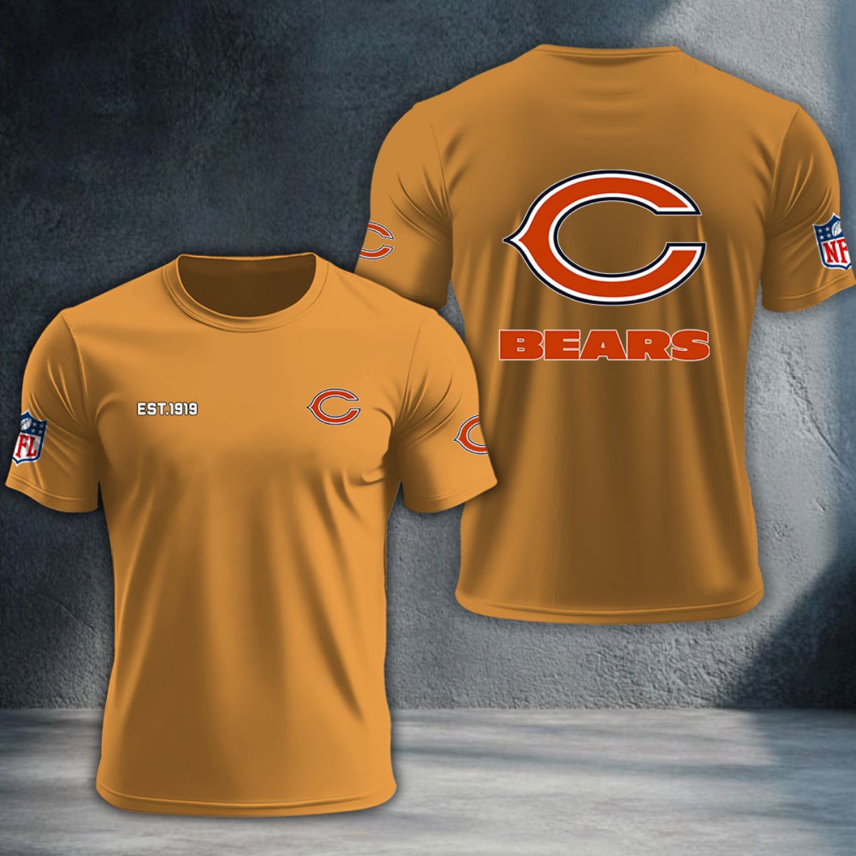 Chicago Bears DTNTA10440