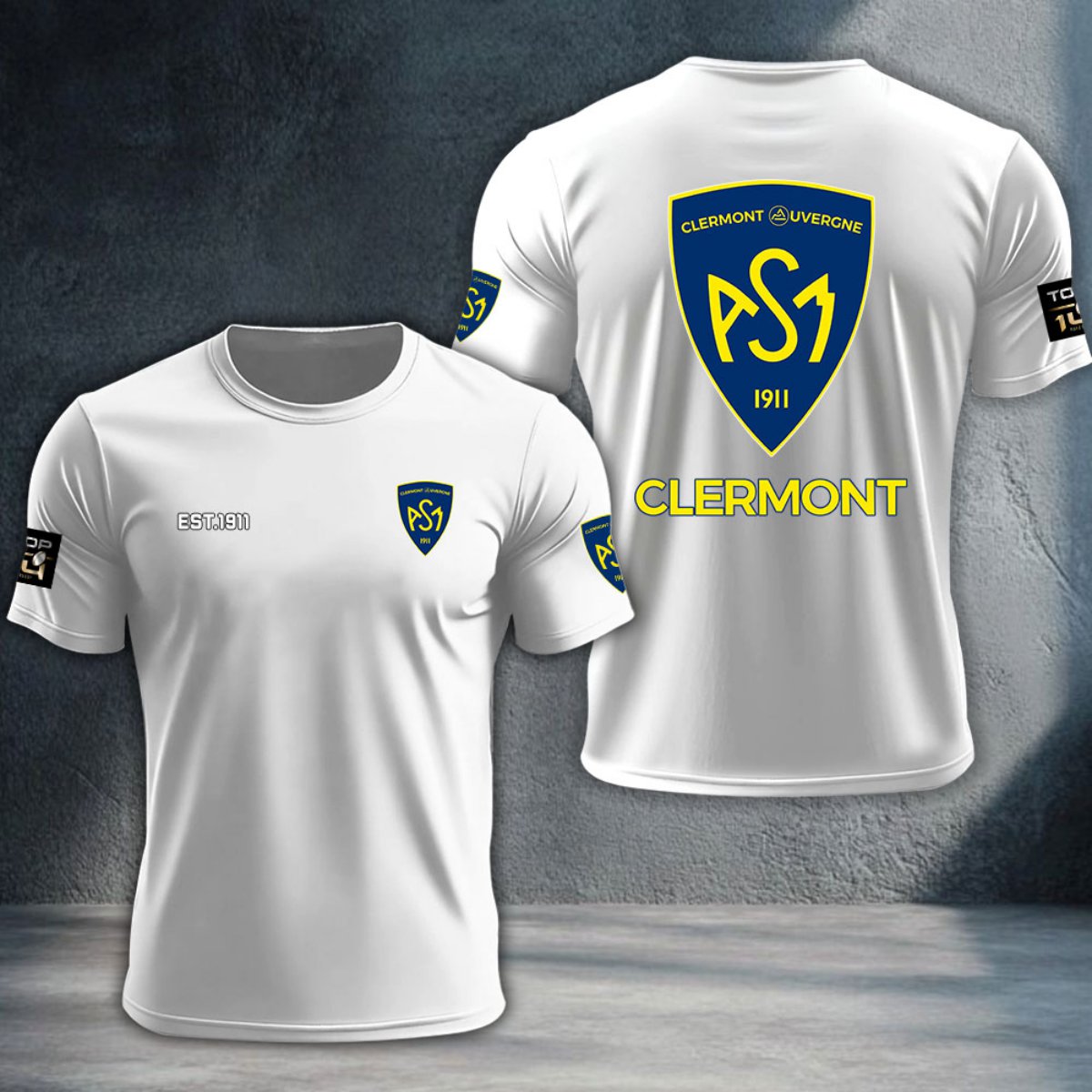 ASM Clermont Auvergne DTNTA10382