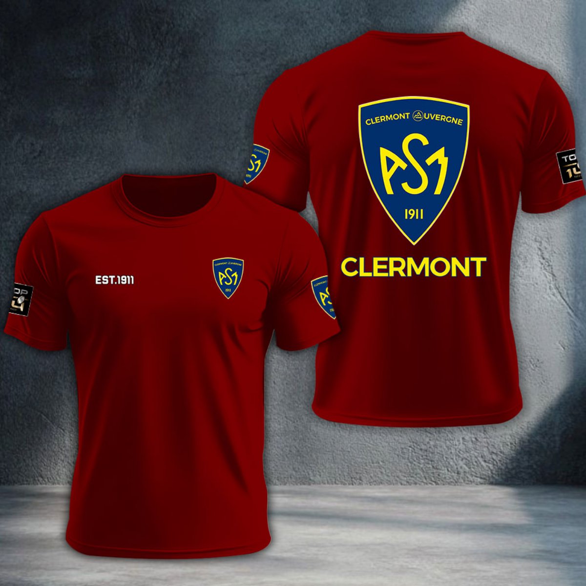 ASM Clermont Auvergne DTNTA10382