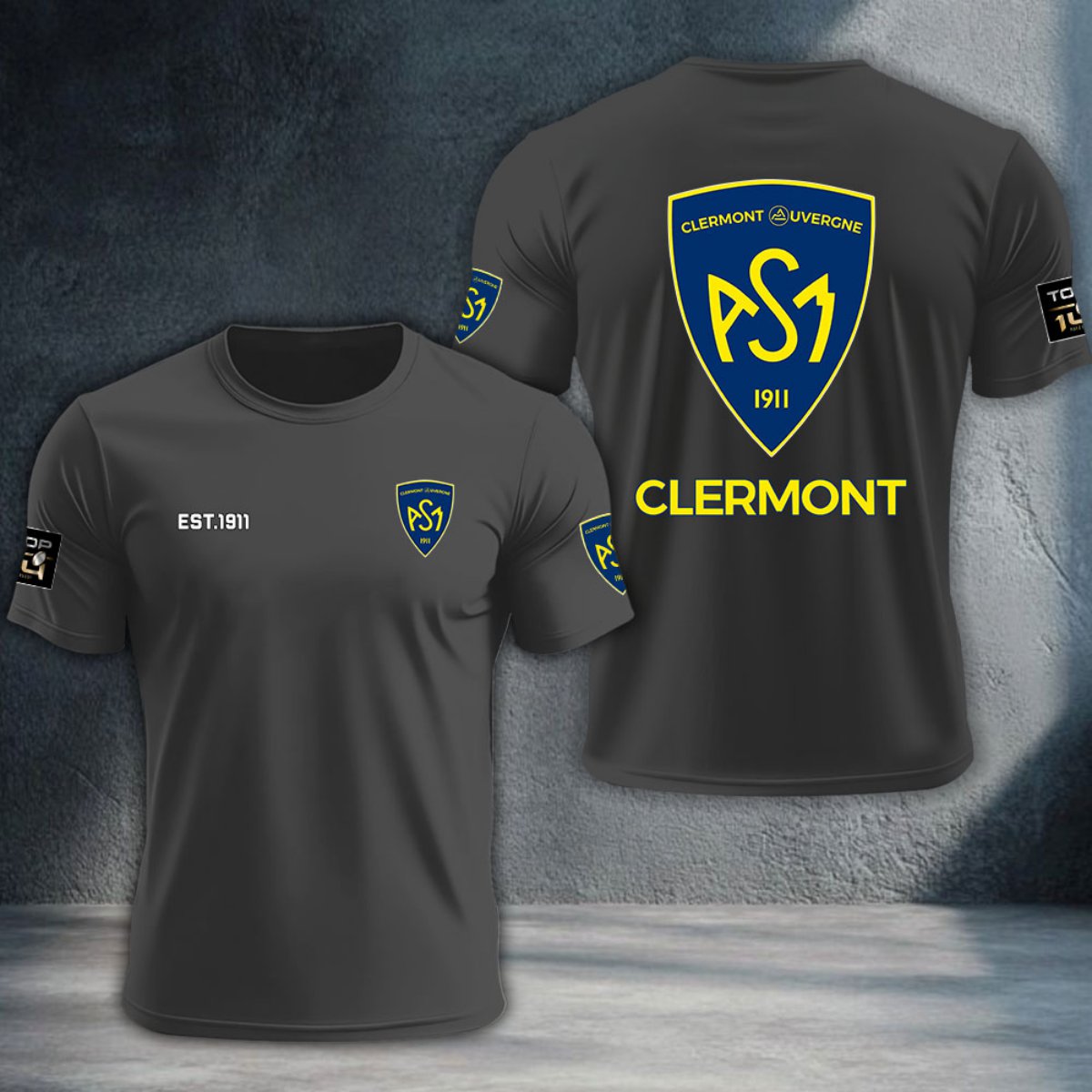 ASM Clermont Auvergne DTNTA10382