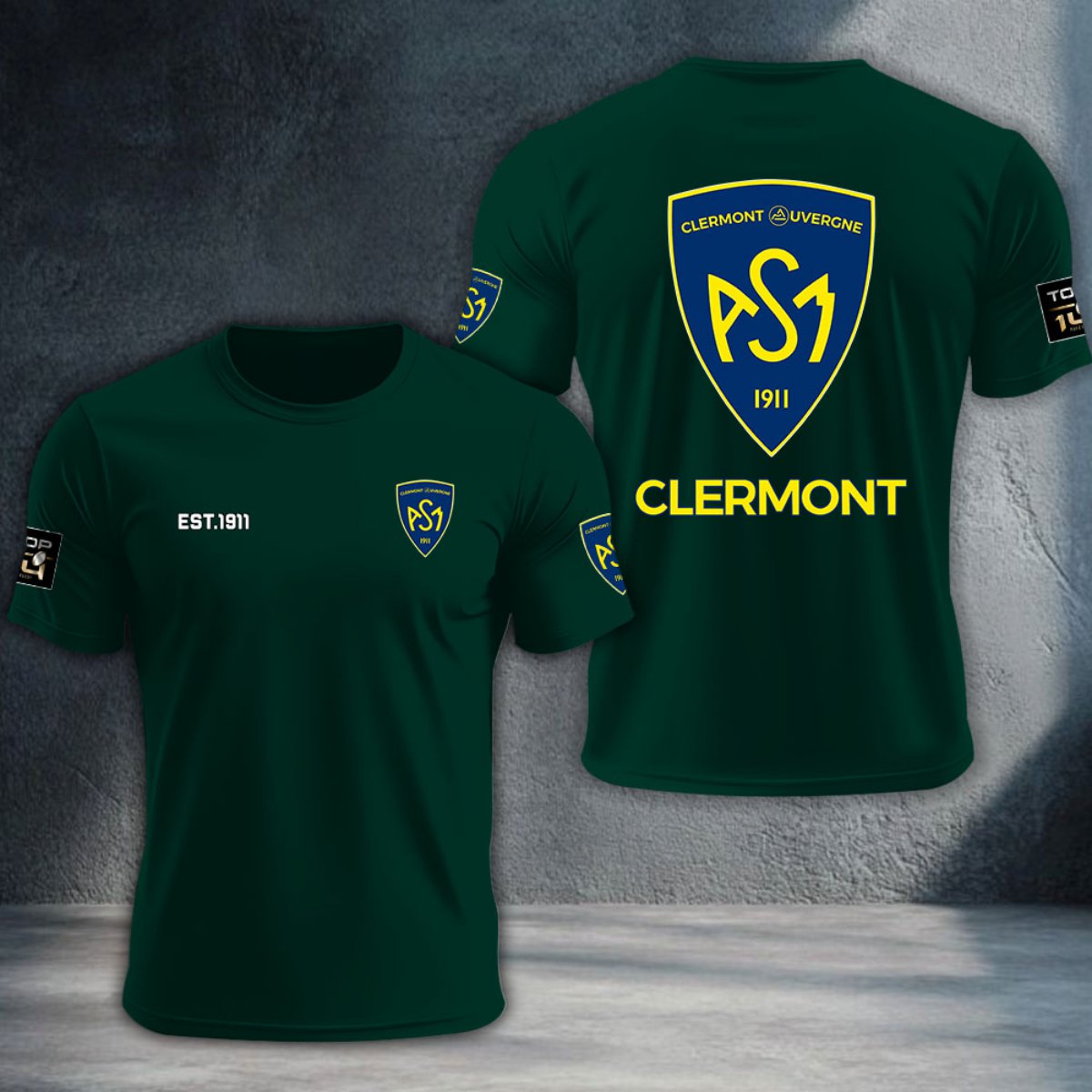 ASM Clermont Auvergne DTNTA10382