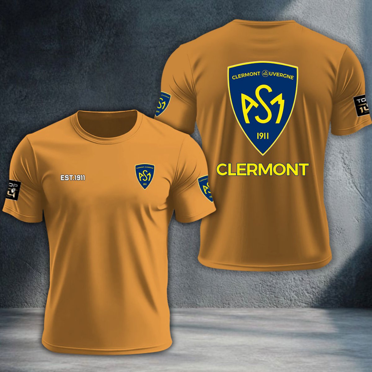 ASM Clermont Auvergne DTNTA10382