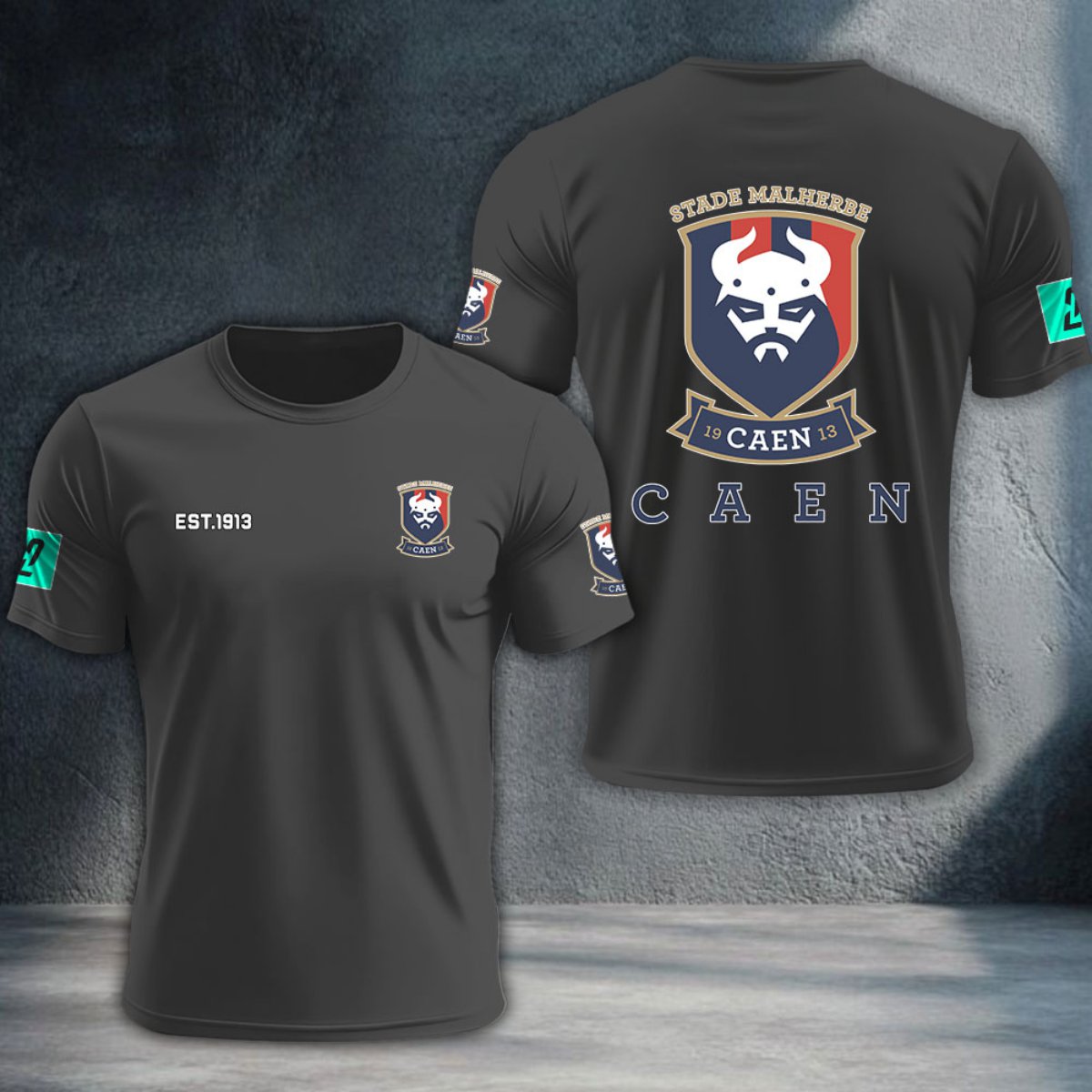 Stade Malherbe Caen DTNTA10379