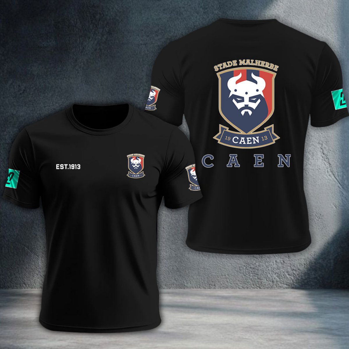 Stade Malherbe Caen DTNTA10379