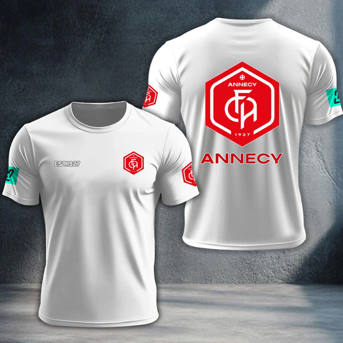 FC Annecy DTNTA10367
