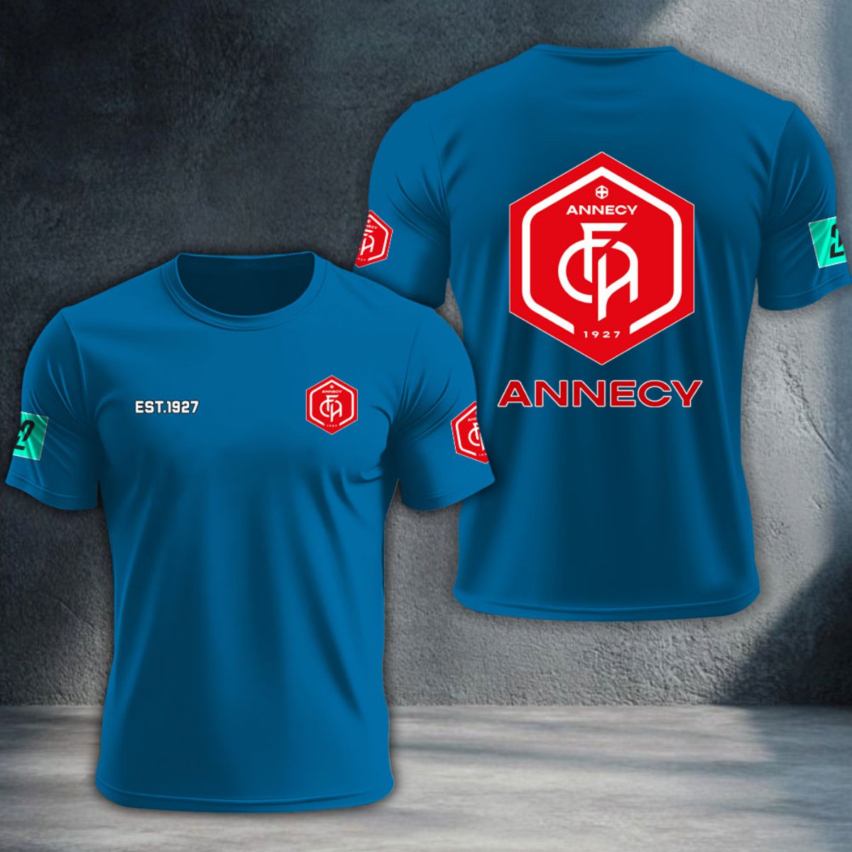 FC Annecy DTNTA10367